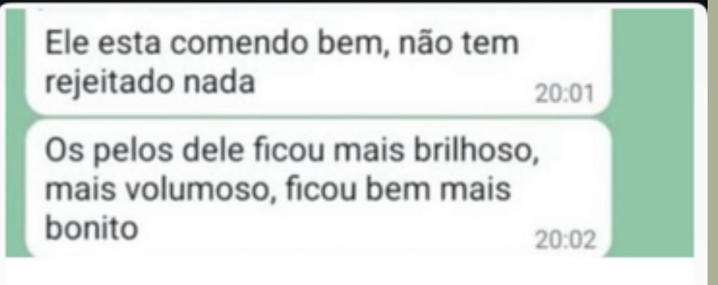 Print de depoimento: cão comendo bem e pelagem mais brilhosa após a Alimentação Natural