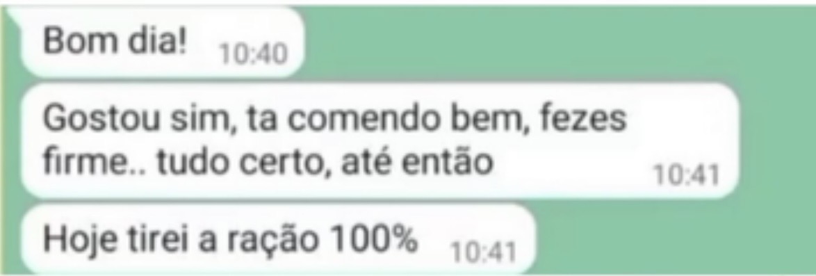 Print de depoimento: cão com fezes firmes após trocar pela Alimentação Natural