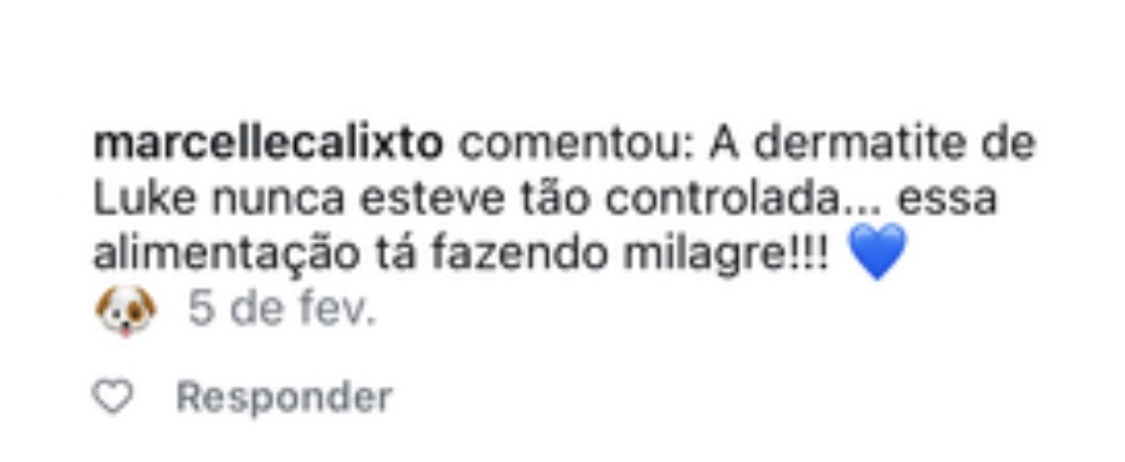 Comentário de Instagram: dermatite do cão controlada após a Alimentação Natural