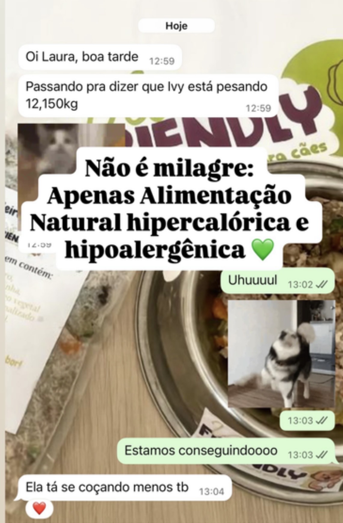 Story de depoimento: Alimentação Natural hipercalórica e hipoalergênica