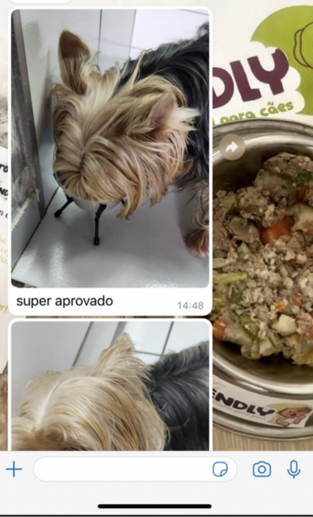 Print de depoimento com foto do cão e do prato de Alimentação Natural