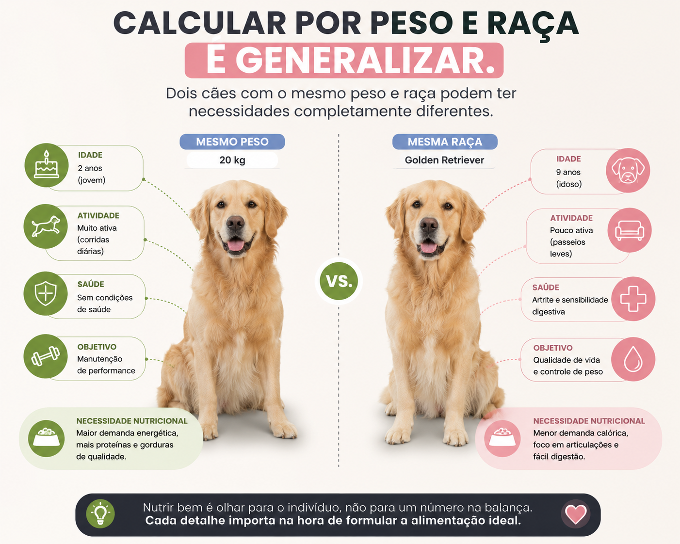 Infográfico mostrando que dois cães de mesmo peso e raça podem ter necessidades nutricionais diferentes